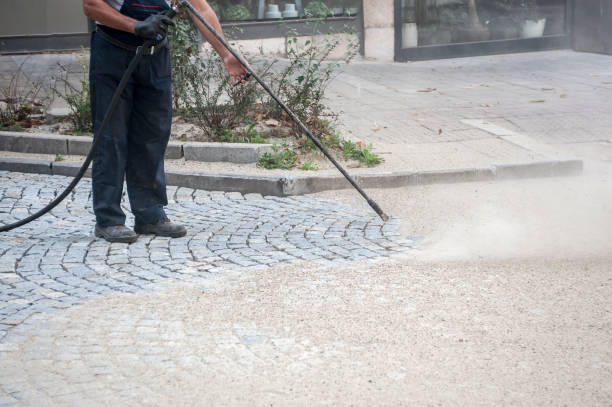 Best Building Exterior Washing  in Temple City, CA